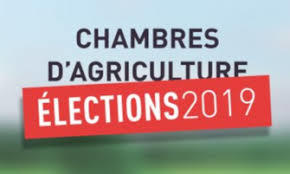 Election 2019 des membres de la chambre d'agriculture